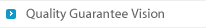 Quality Guarantee Vision