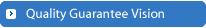 Quality Guarantee Vision